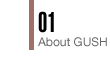 About_GUSH_button